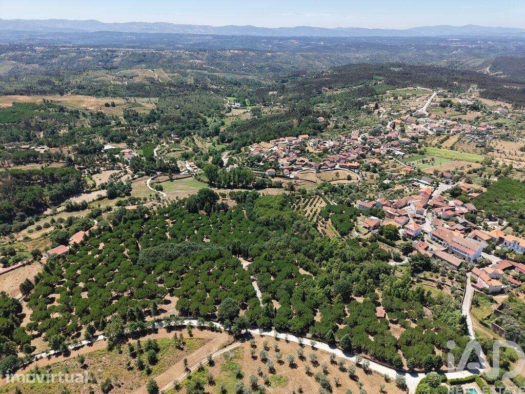 Terreno em Carregal do Sal - Grande imagem: 5/17