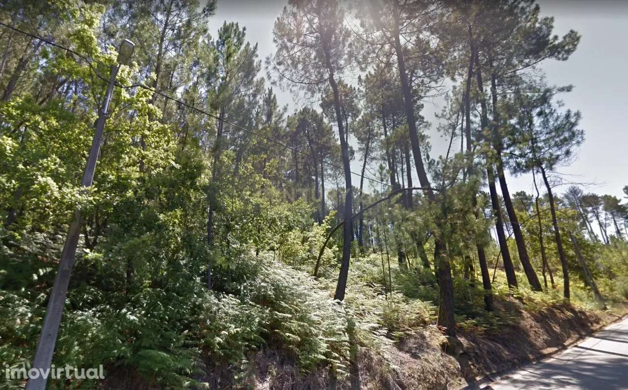 Terreno em Orgens - Grande imagem: 4/5