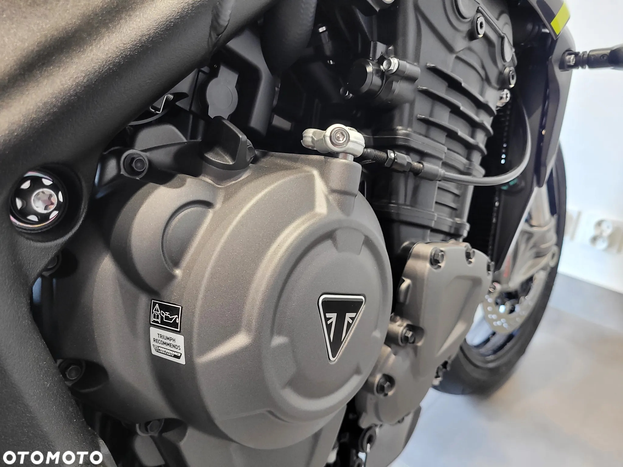 Triumph Speed Triple - 13