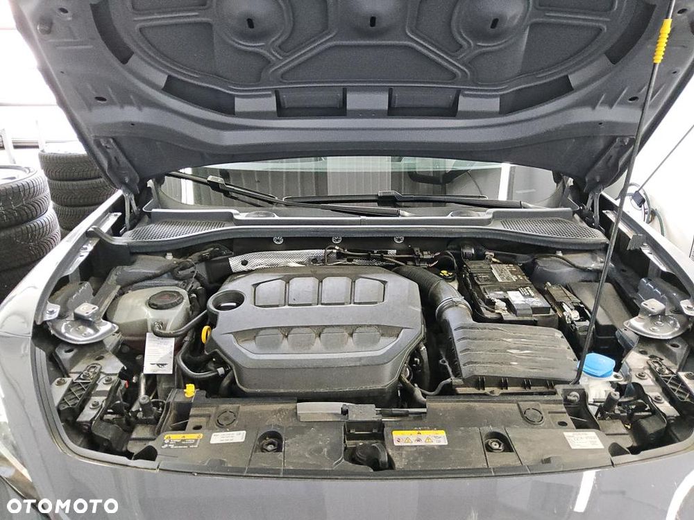 Cupra Formentor 2.0 TSI 4Drive DSG - 21