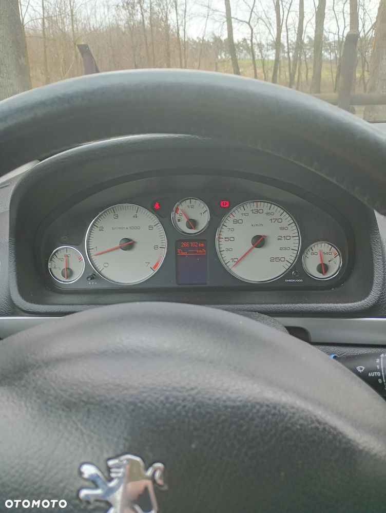Peugeot 407 125 Tendance - 5
