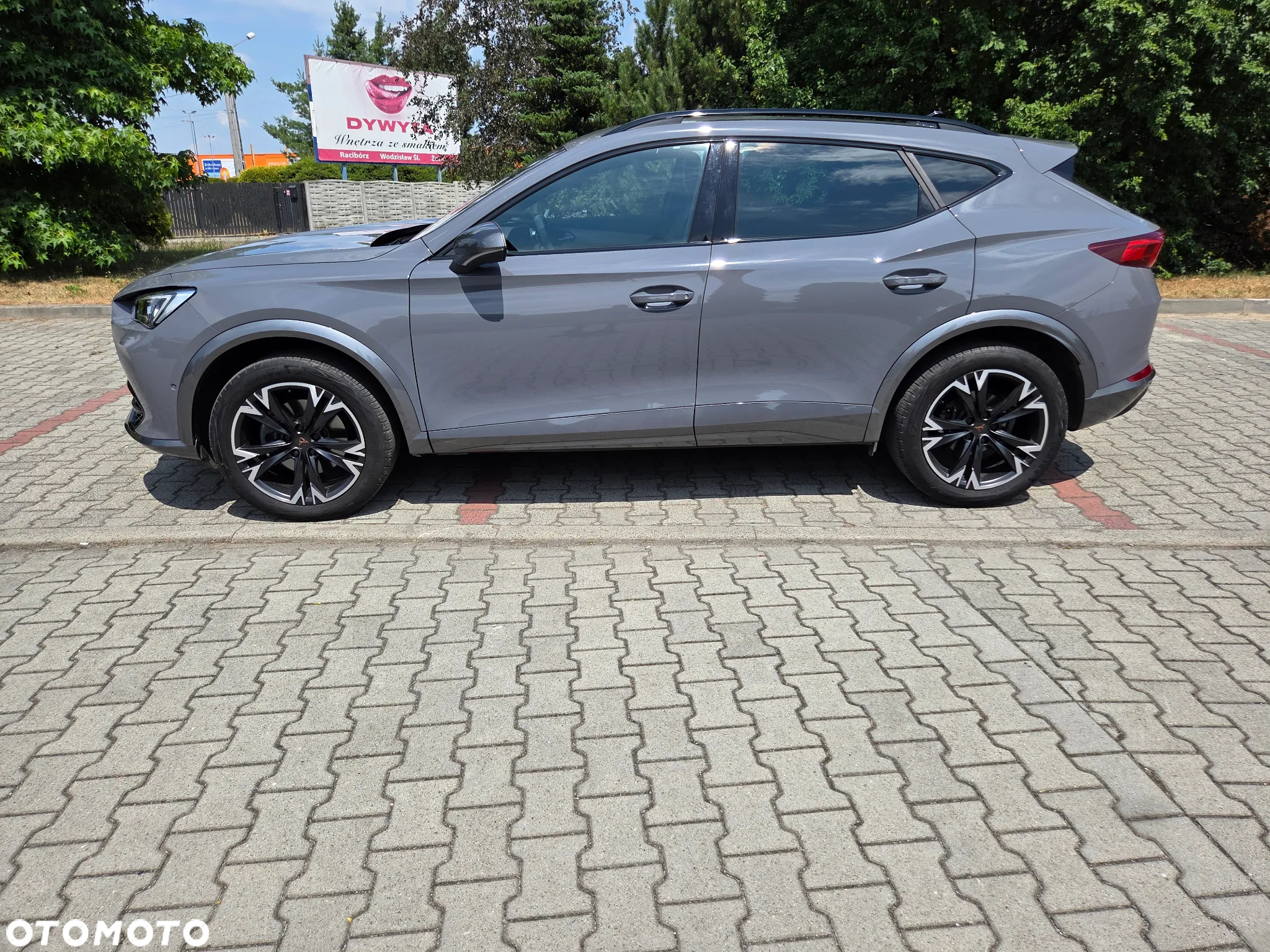 Cupra Formentor 1.5 TSI DSG - 15