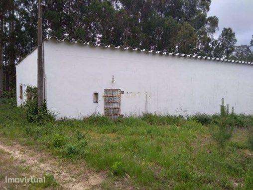 Pavilhão Industrial - Grande imagem: 3/3