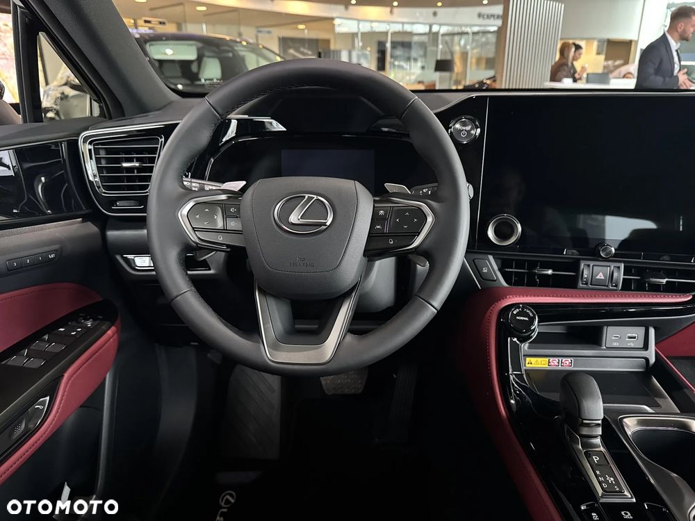 Lexus NX - 11