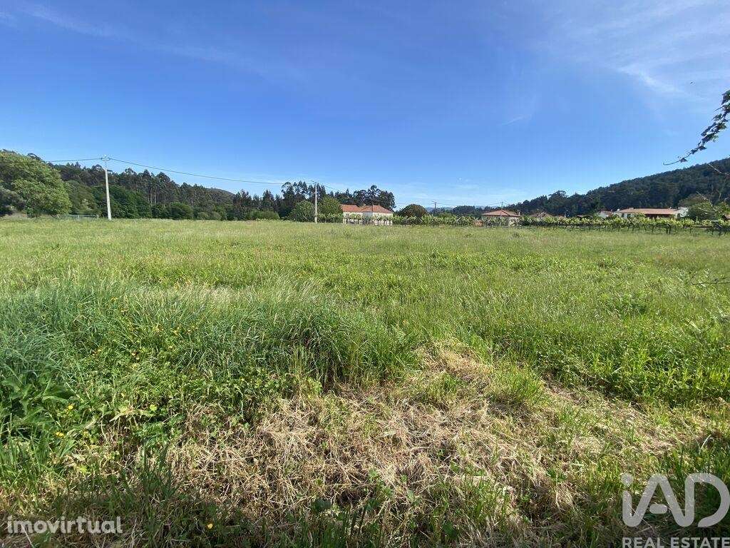 Casa / Villa T1 em Candemil e Gondar de 250,00 m2 - Grande imagem: 4/23