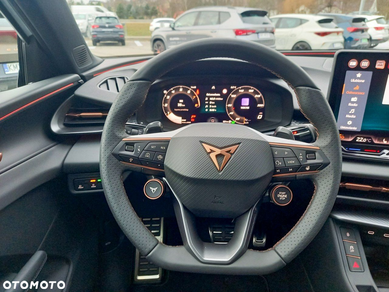 Cupra Terramar - 8