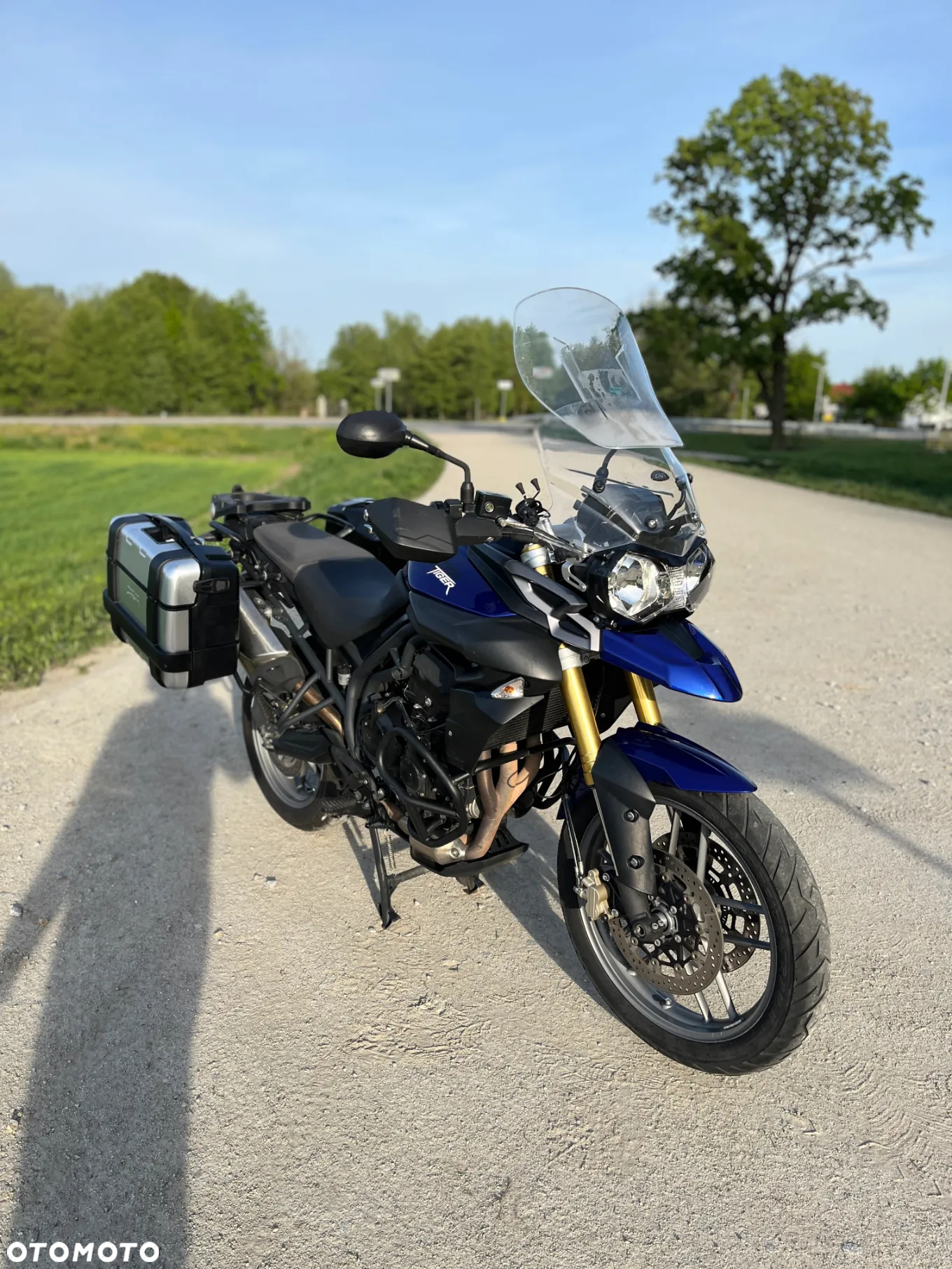 Triumph Tiger