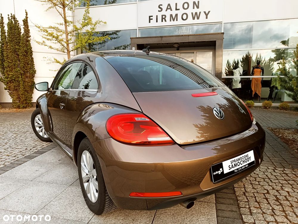 Volkswagen Beetle - 5
