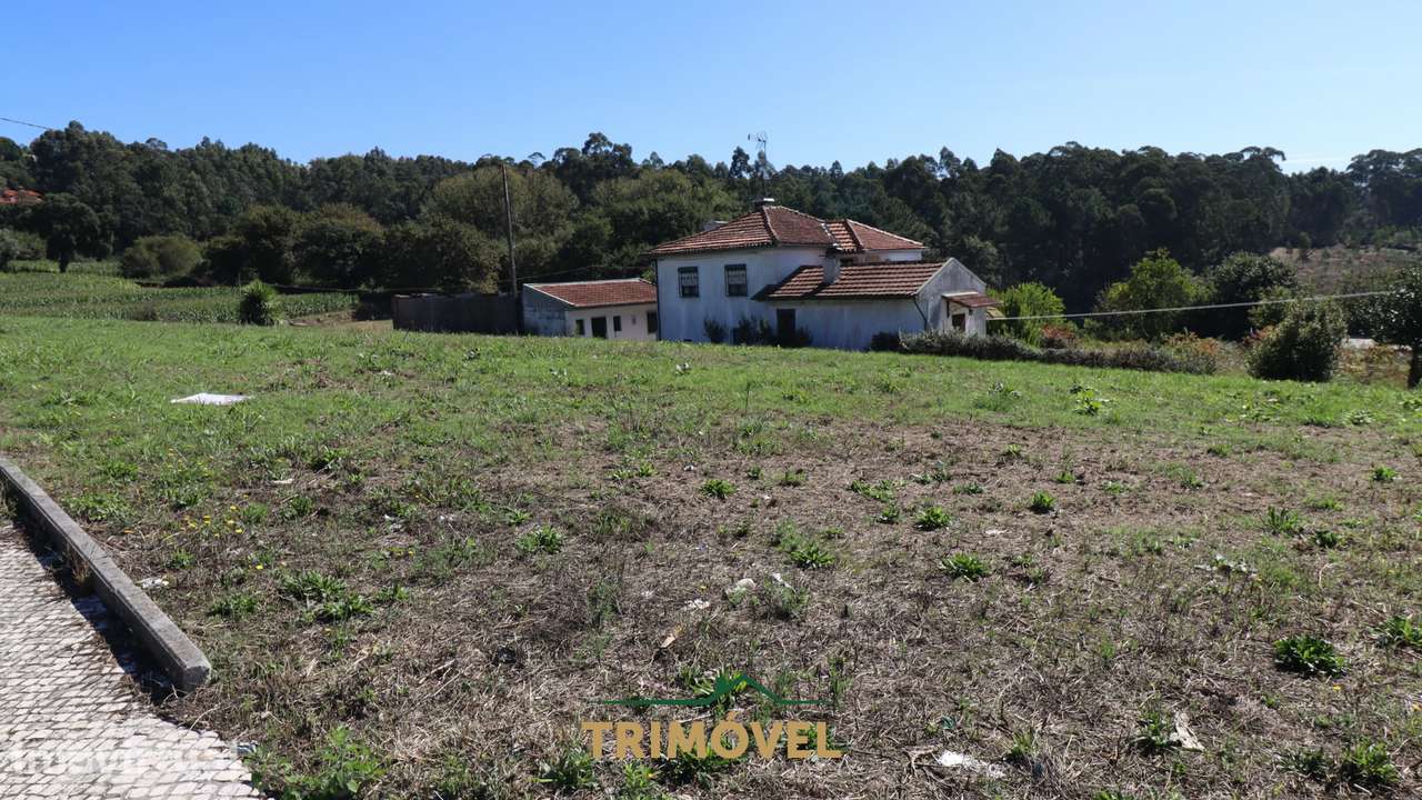 Terreno para Construção em Oliveira de Azeméis - Grande imagem: 5/9