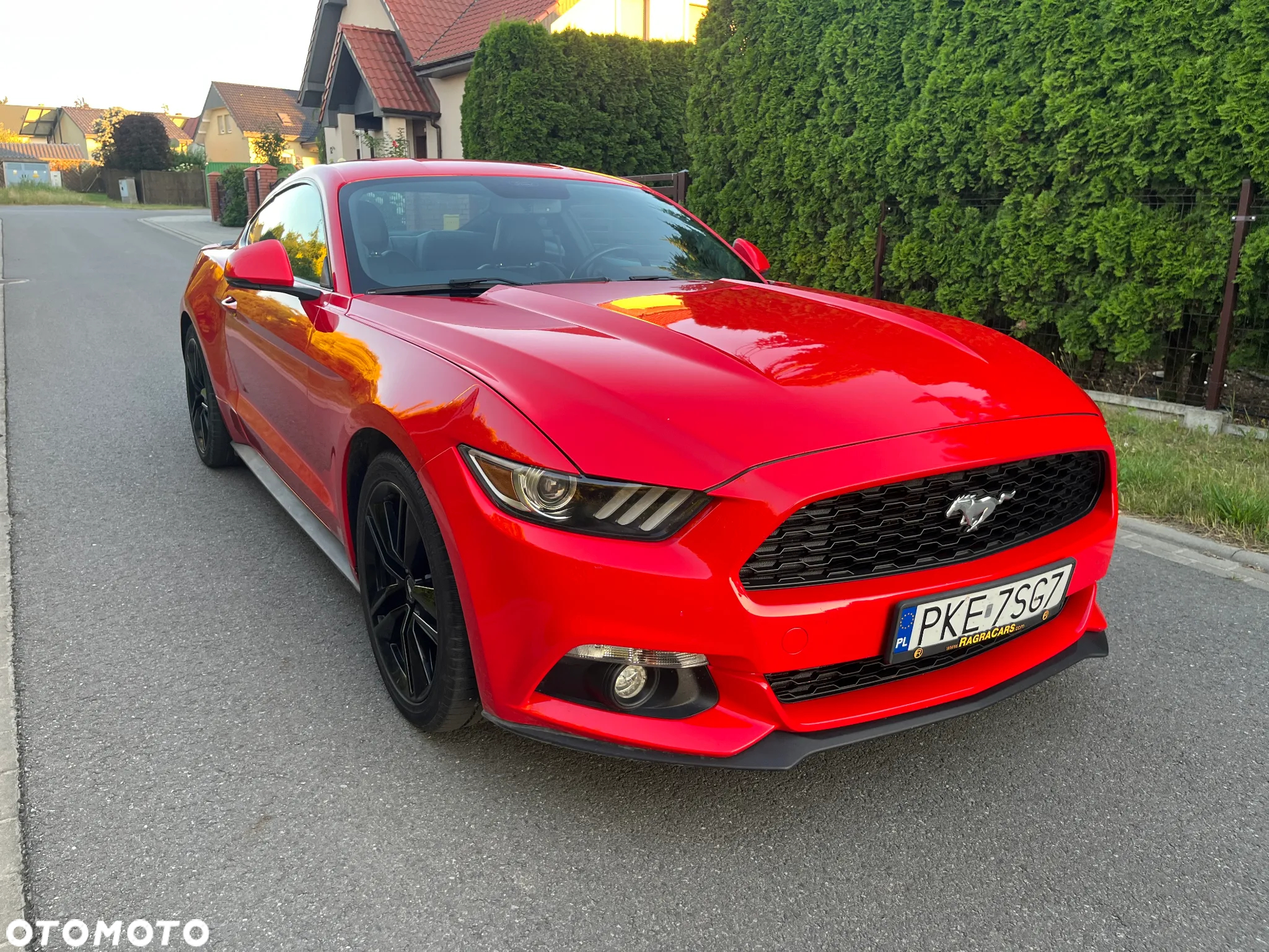 Ford Mustang 2.3 EcoBoost - 4