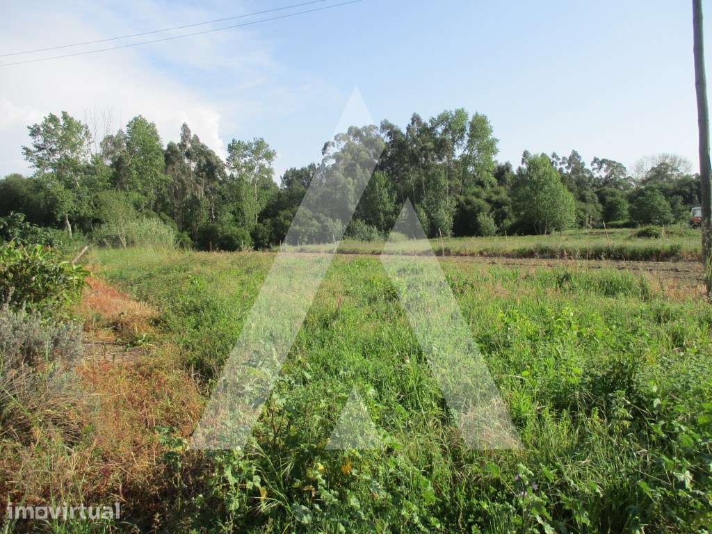 Terreno em Bustos - Grande imagem: 2/4