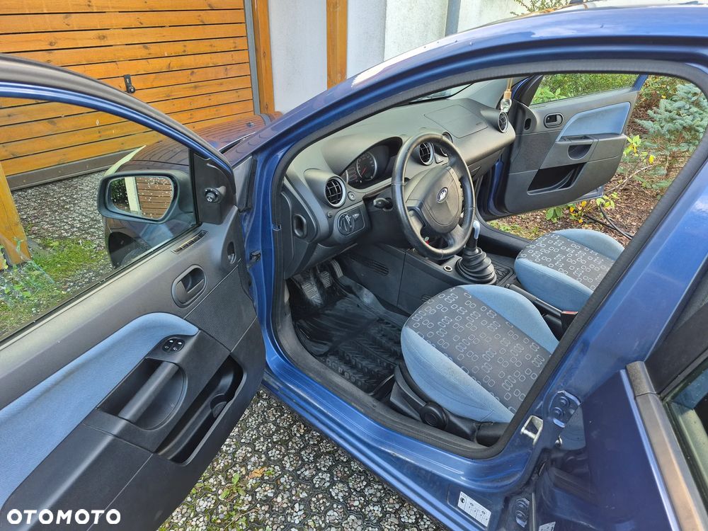 Ford Fiesta 1.25 X100 / FX Gold - 22