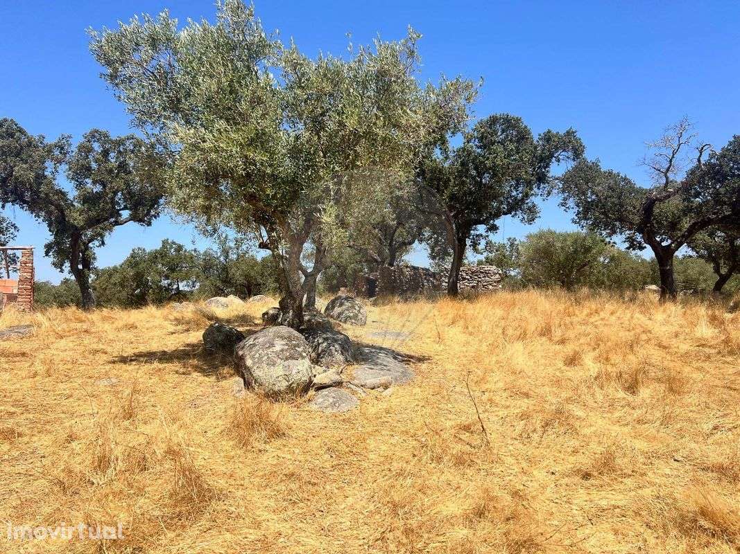 Quinta  para venda - Grande imagem: 5/15