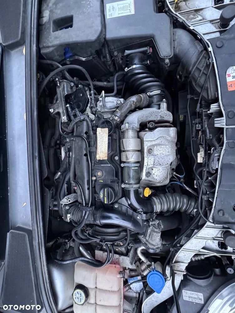 Ford Focus 1.6 TDCi DPF Trend - 16