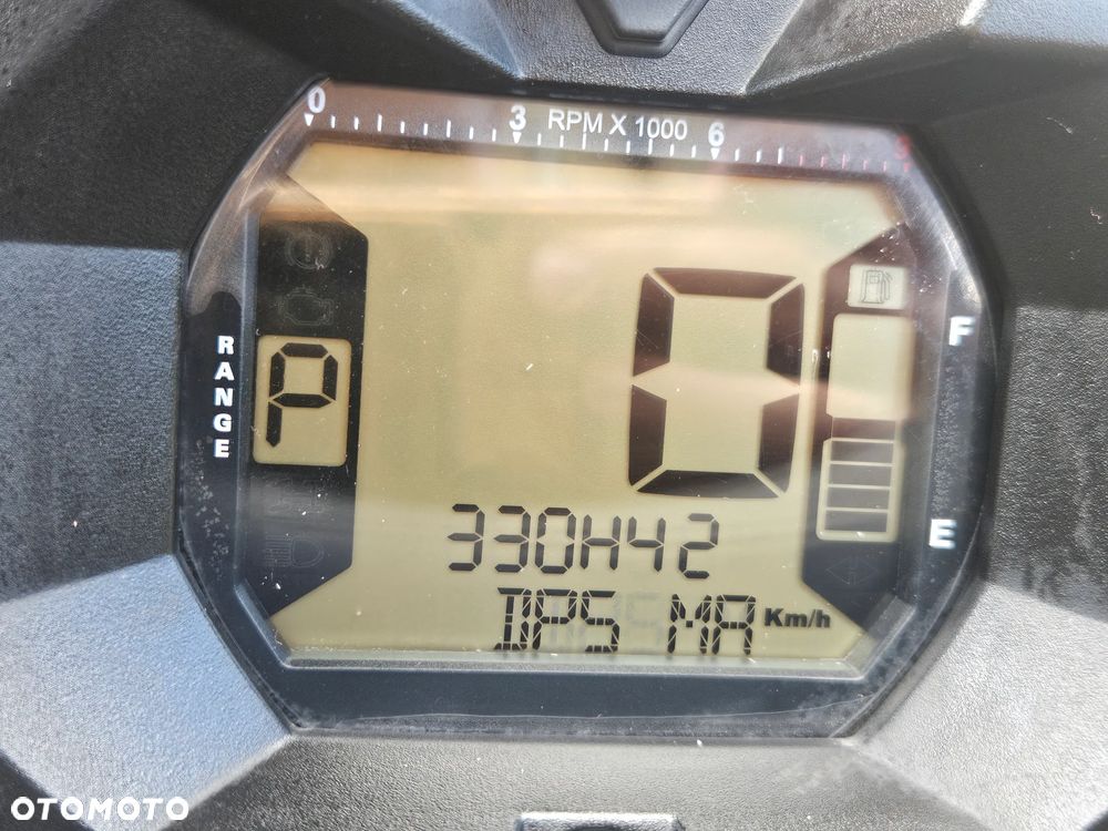 Can-Am Renegade - 38