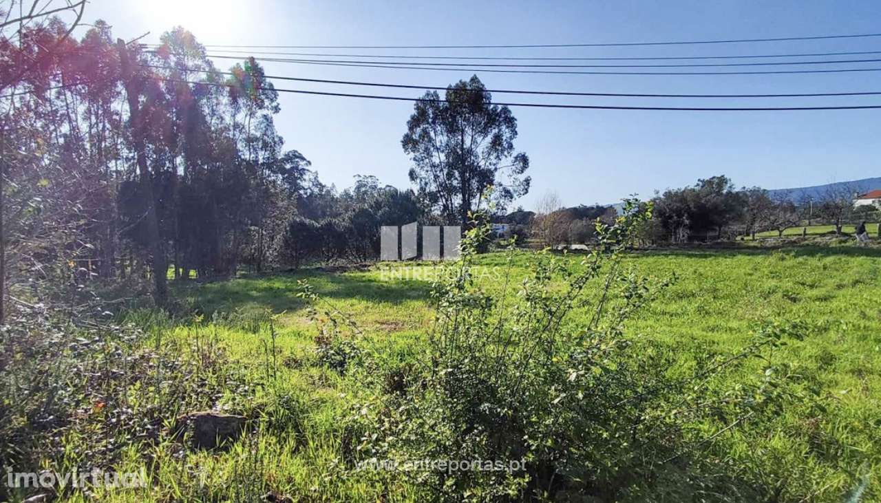 Venda de Terreno totalmente murado, Vila Franca, Viana do Castelo - Grande imagem: 3/24