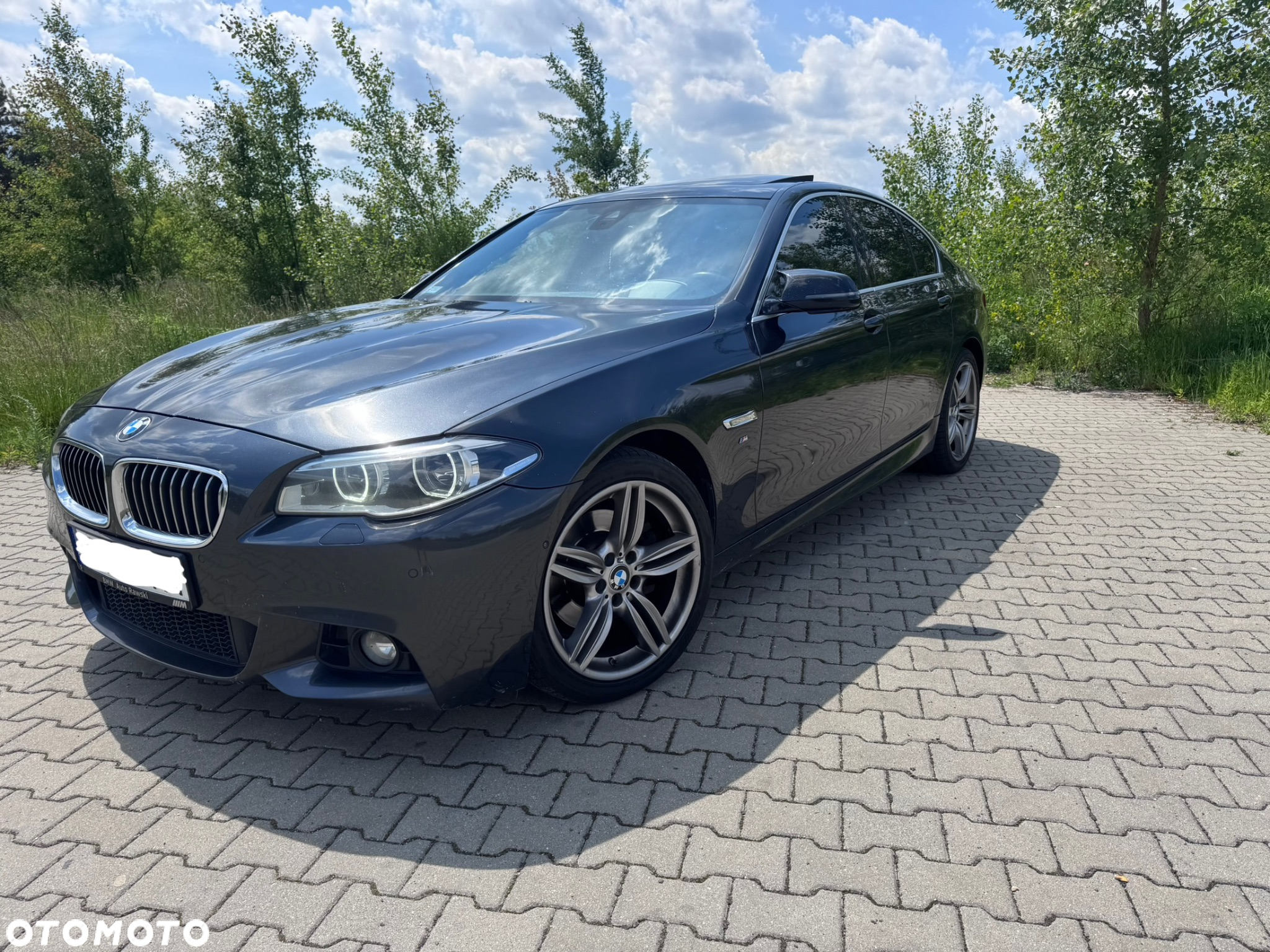 BMW Seria 5 520d xDrive - 5
