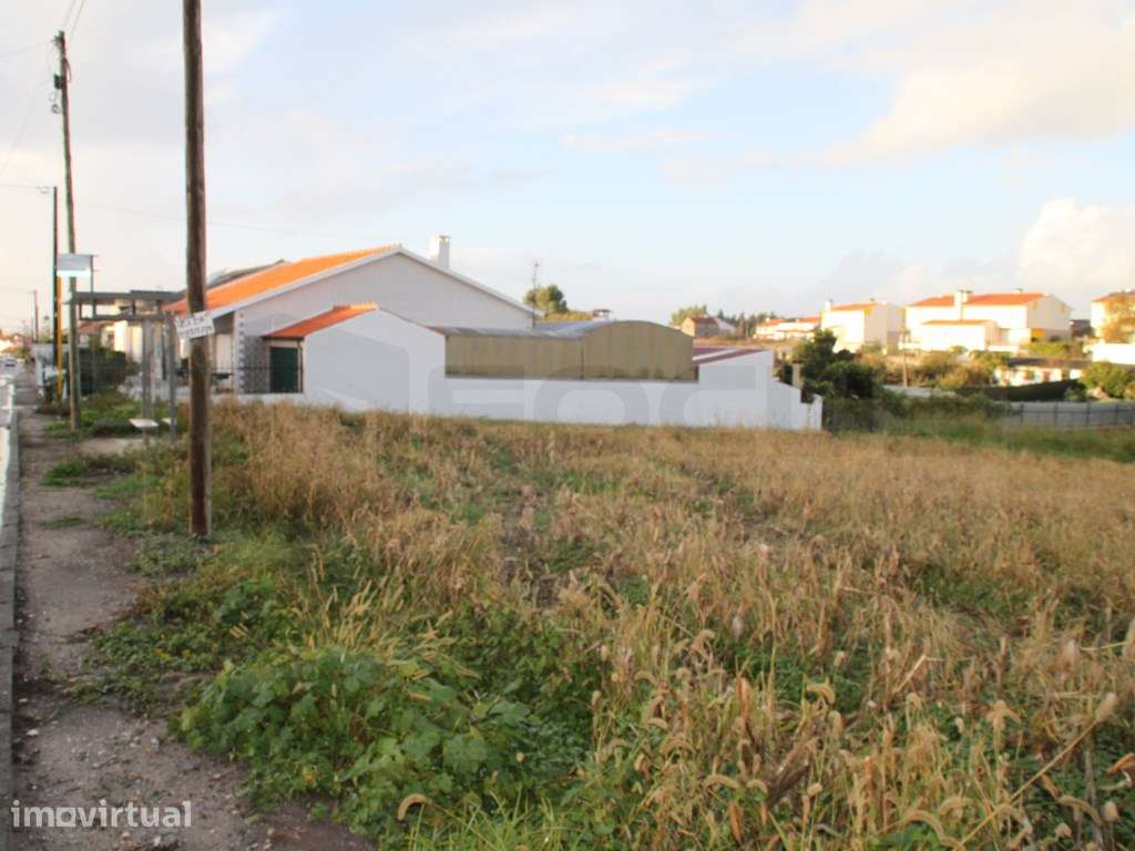Espaçoso terreno com 2 frentes para construção de moradias - Aveiro - Grande imagem: 4/5