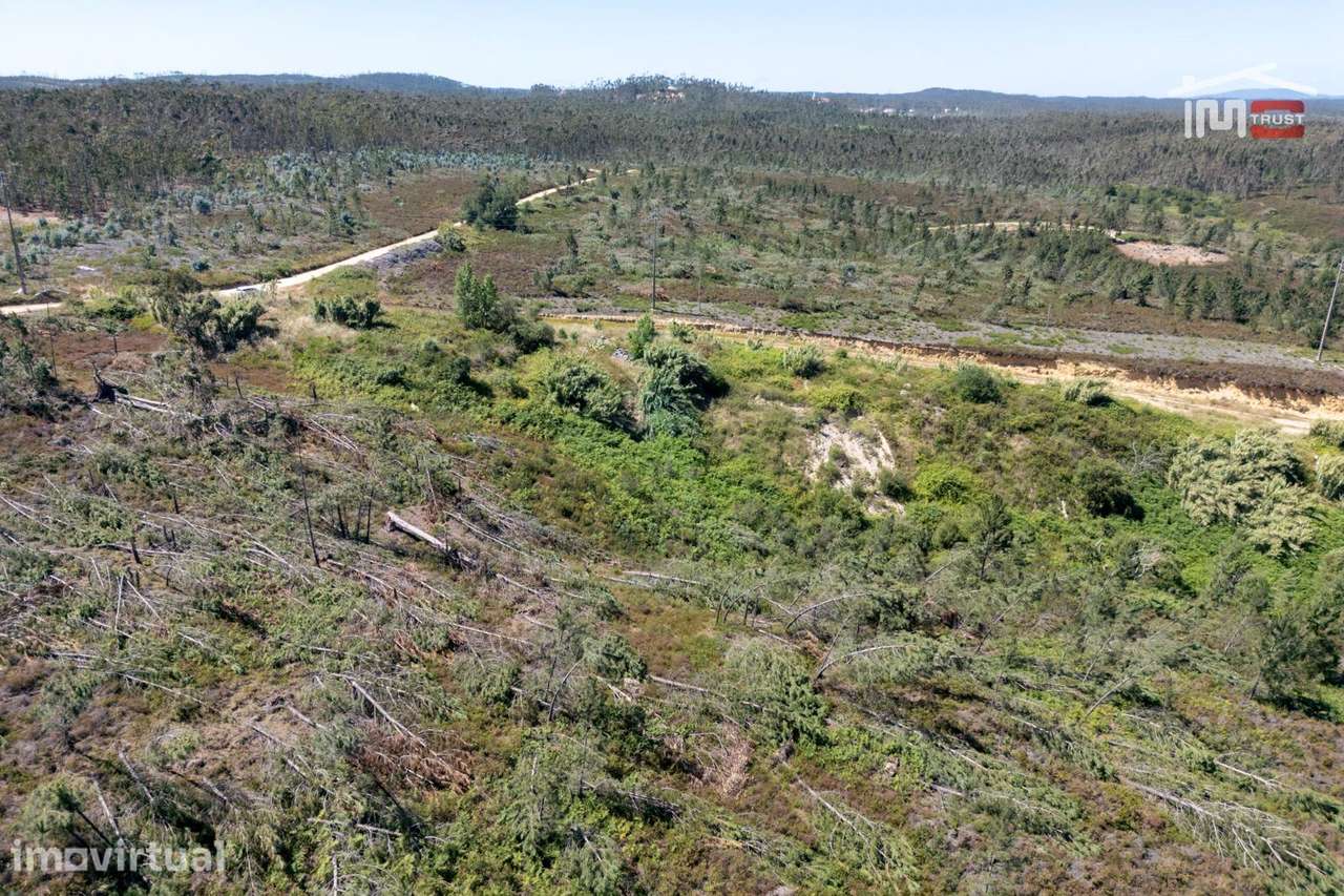 TERRENO URBANO COM AREA DE 40.000 M2 EM CASAL DAS FIGUEIRAS CAXARIAS - Grande imagem: 4/16