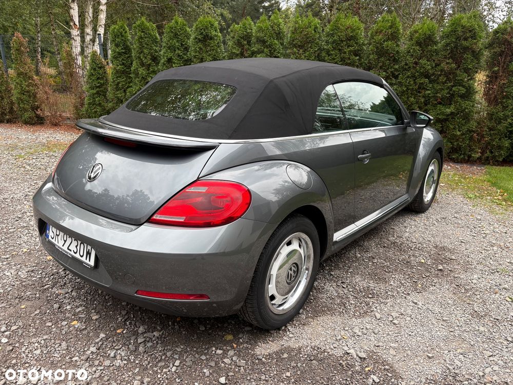 Volkswagen Beetle - 13