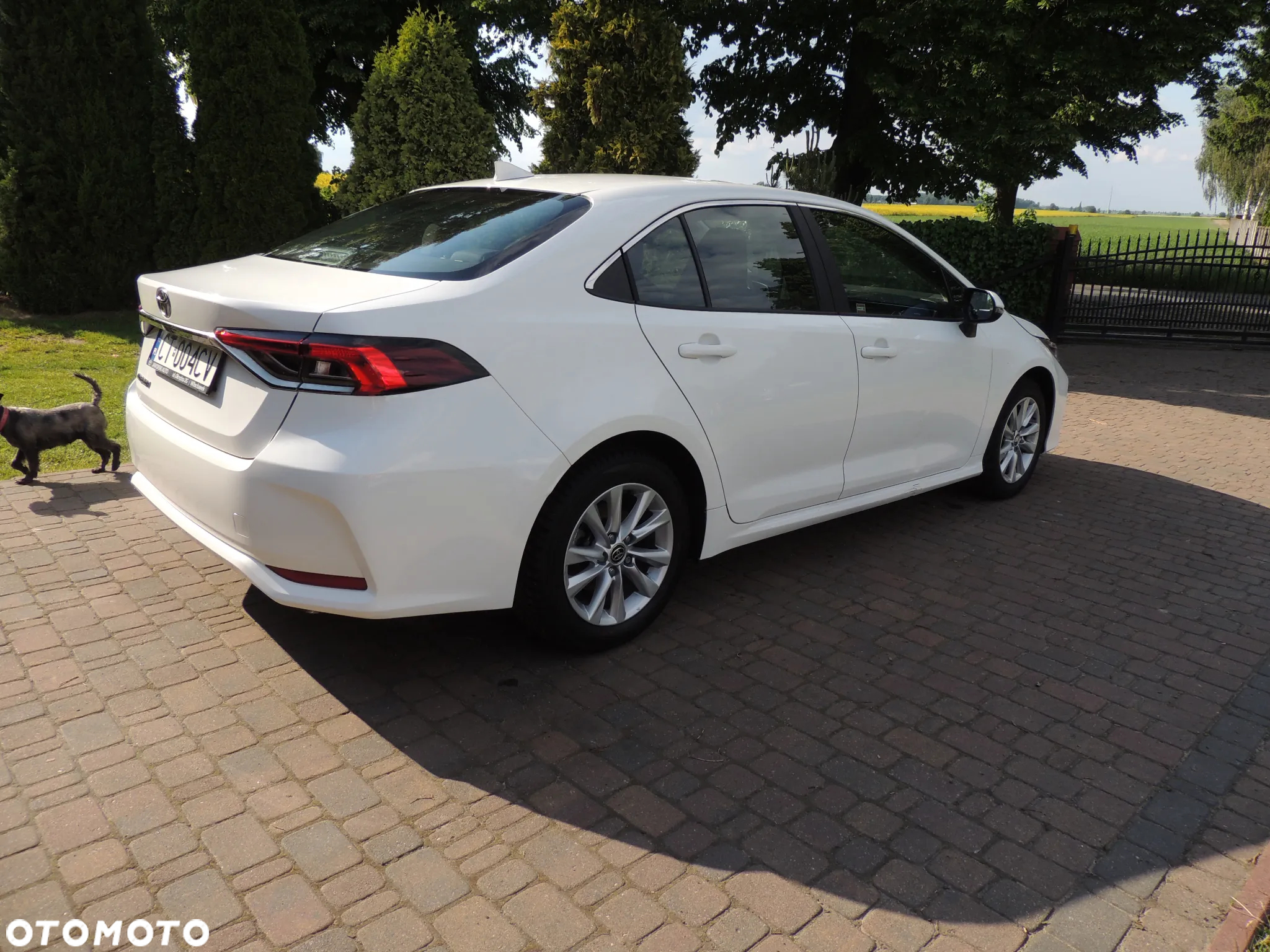 Toyota Corolla 1.5 Comfort - 11