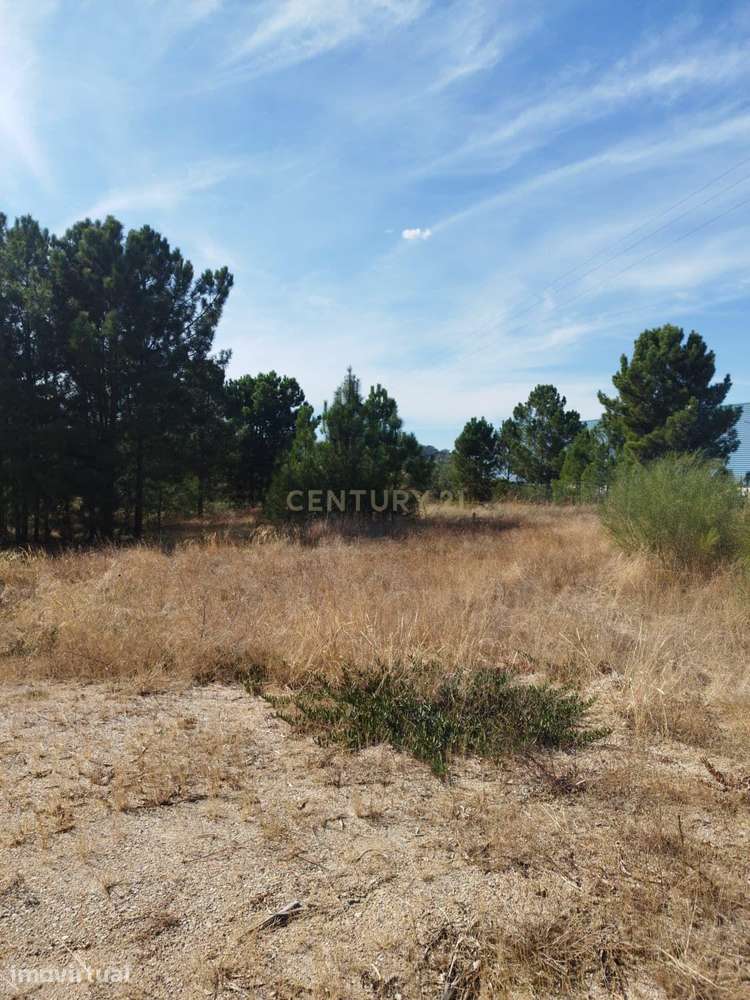 Terreno, 7 525 m², Palmela - Grande imagem: 3/11