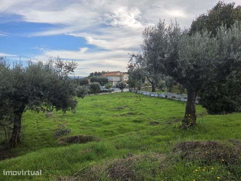Vendo terreno urbanizavel - 1000m2 - Oliveira, Pindo - Grande imagem: 4/6