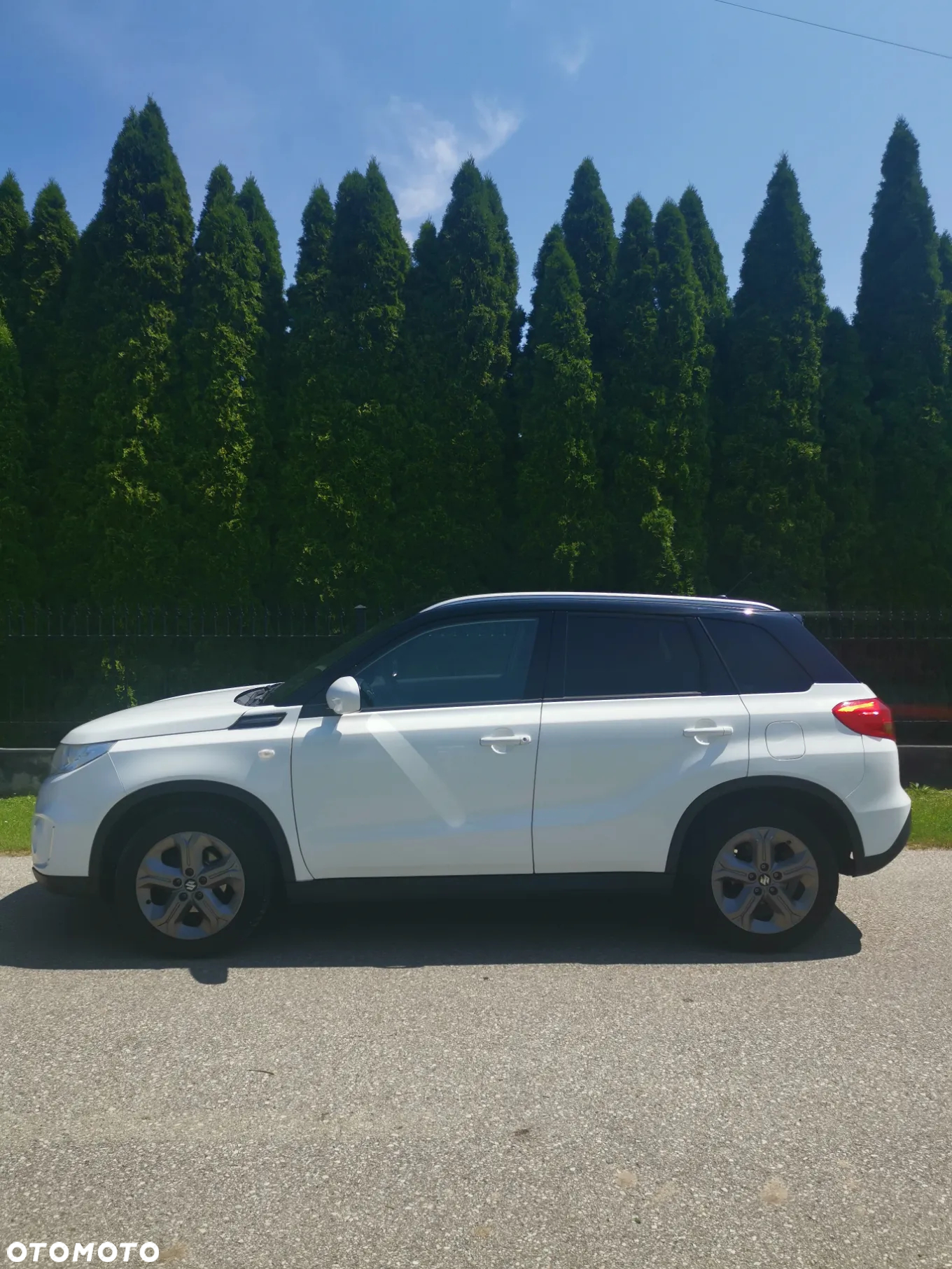 Suzuki Vitara - 10