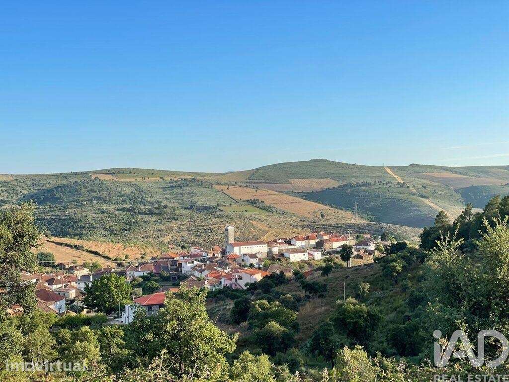 Terreno Agrícola em Poiares - Grande imagem: 5/5