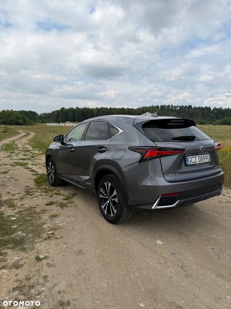 Lexus NX 300 Prestige AWD - 3