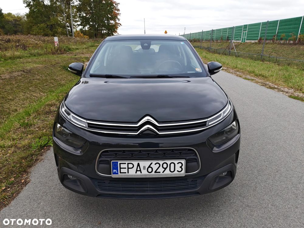 Citroen C4 Cactus 2019 photo 2