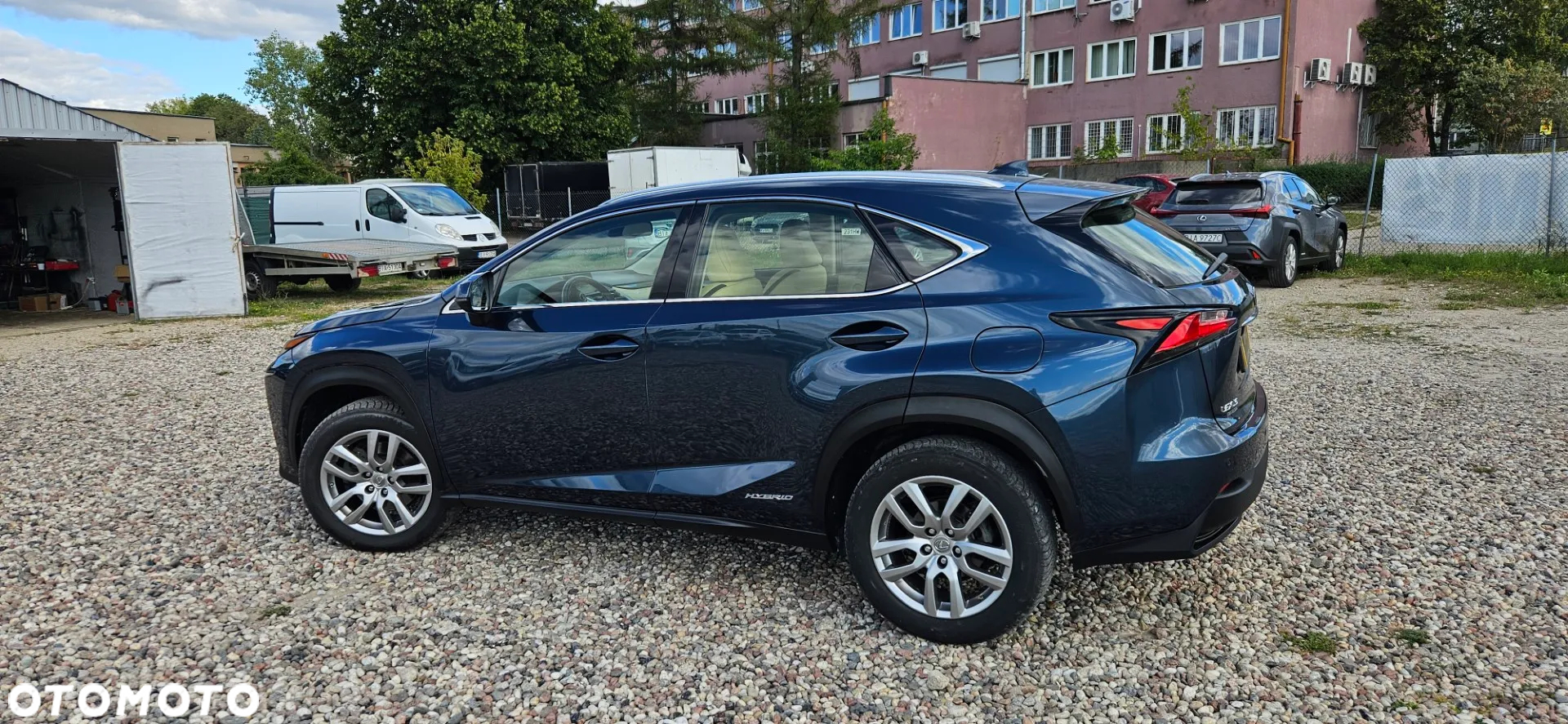 Lexus NX 300h Business Edition AWD - 12