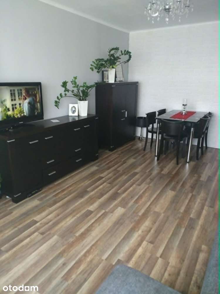 Przytulne mieszkanie 2 pokojowe z balkonem w bloku 44 m2
