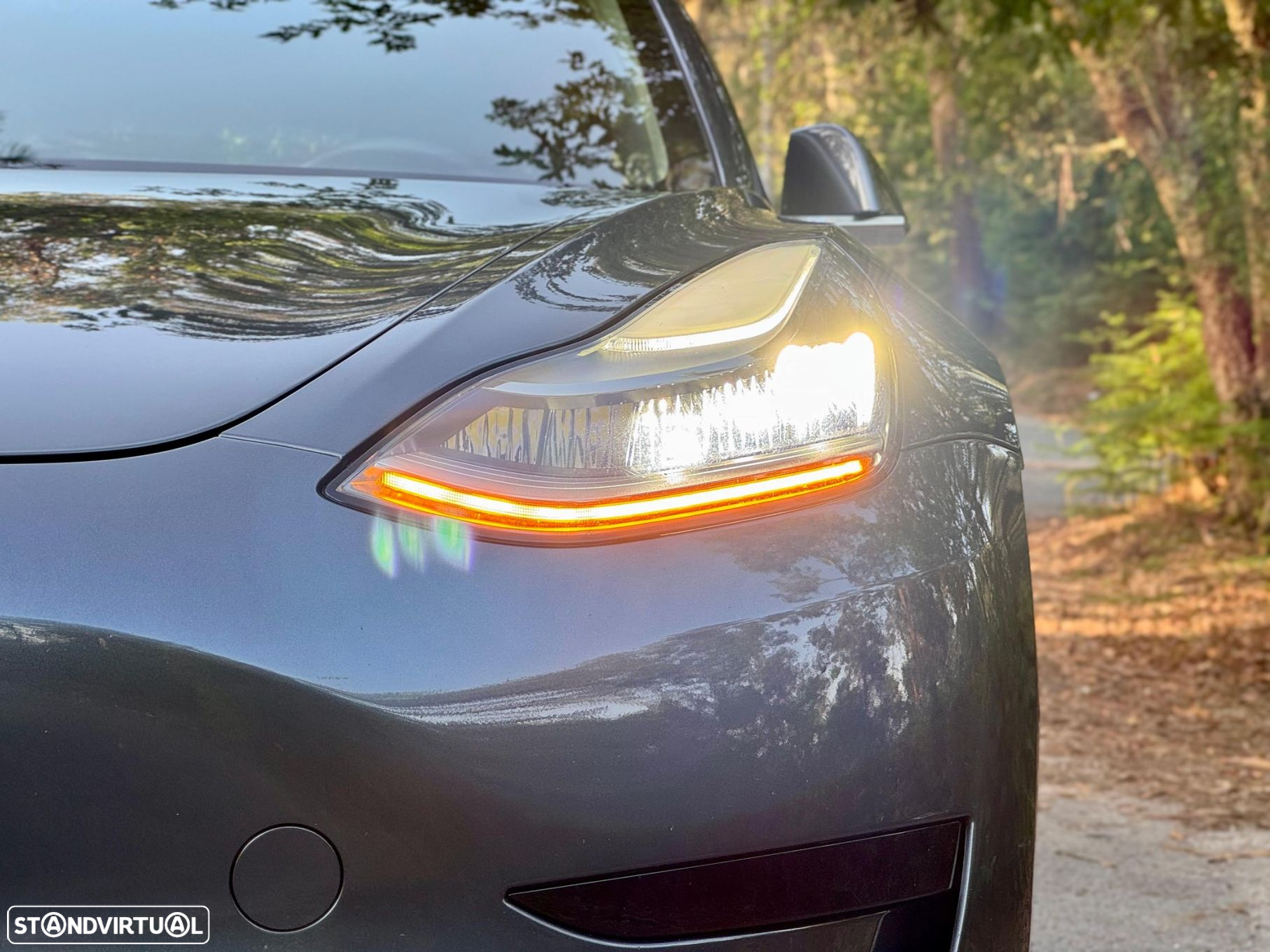 Tesla Model 3 Standard Range Plus RWD - 48