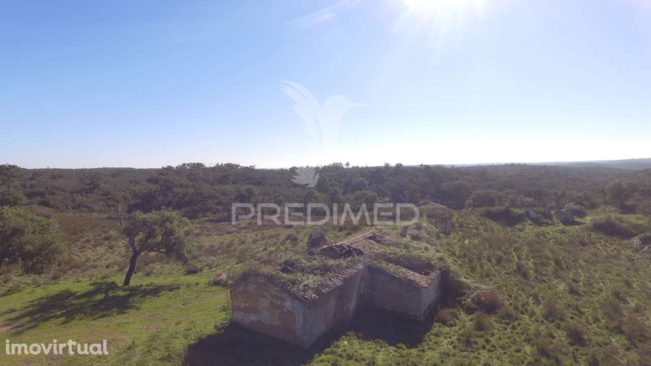 Herdade com 71 hectares e ruína de 174m2 - Grande imagem: 2/21