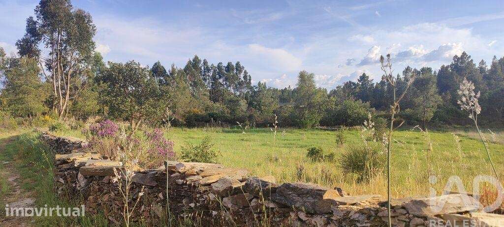 Quinta rural em Benquerenças - Grande imagem: 2/9