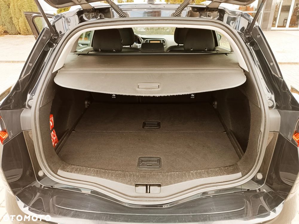 Renault Megane - 38