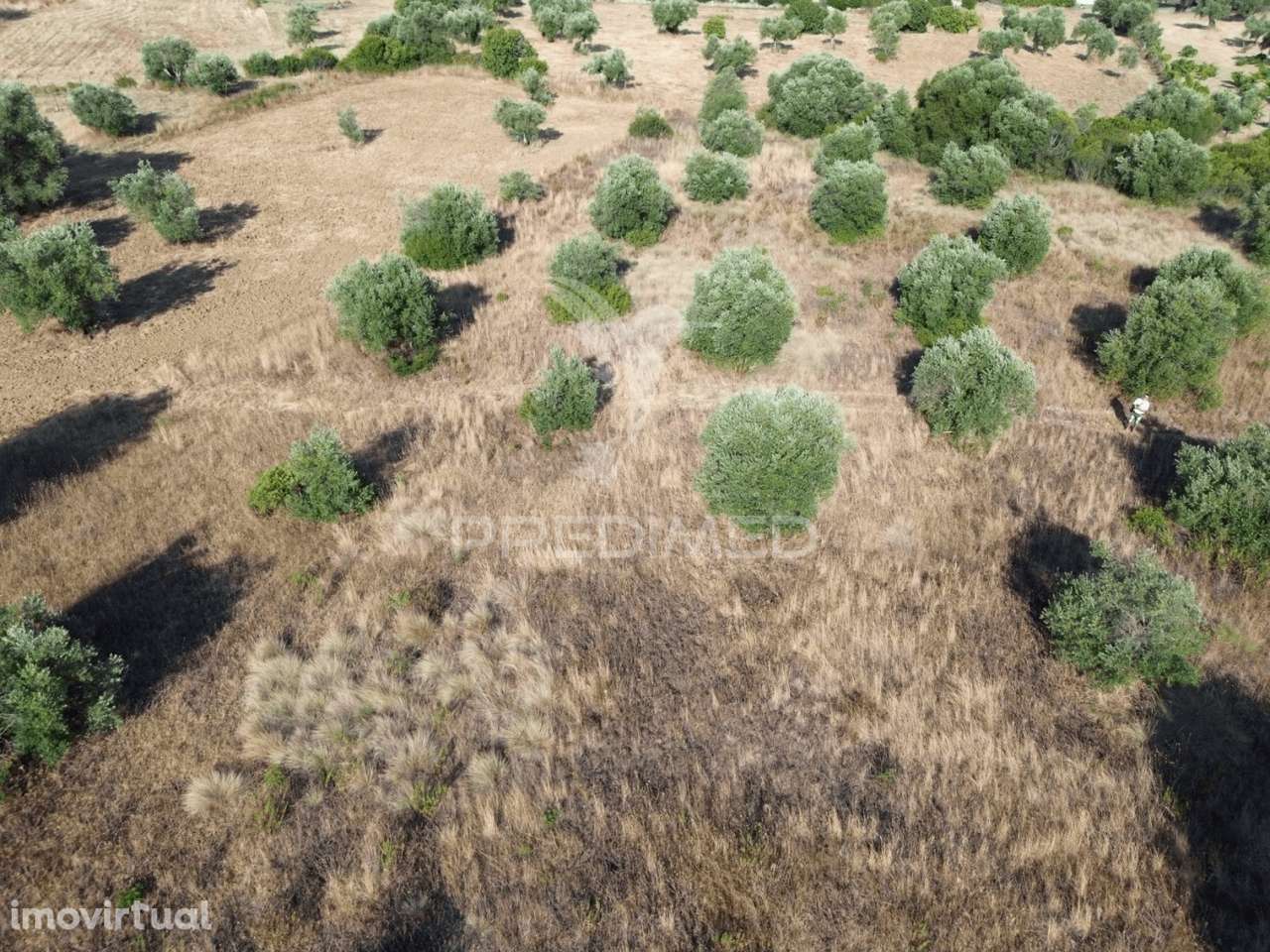 Terreno Rústico com 3.340 m² – Troviscal, Alcanena - Grande imagem: 2/24
