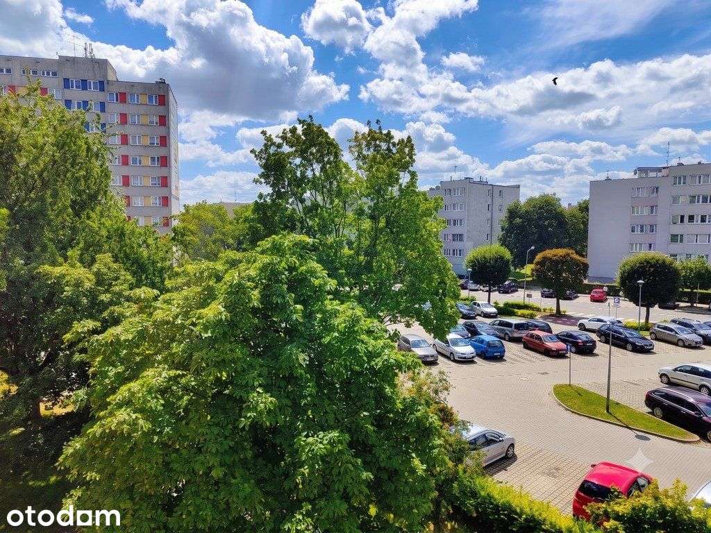 2 pokoje + kuchnia | Sinapiusa | Widok na zieleń