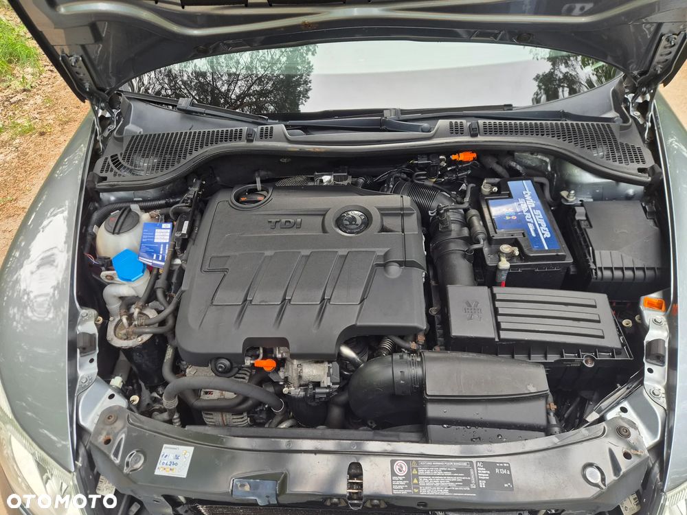 Skoda Octavia - 31