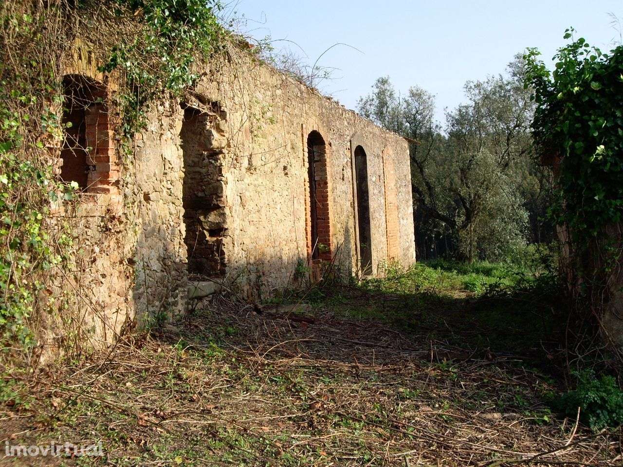 Quinta do Conventinho - Óbidos - Grande imagem: 2/13