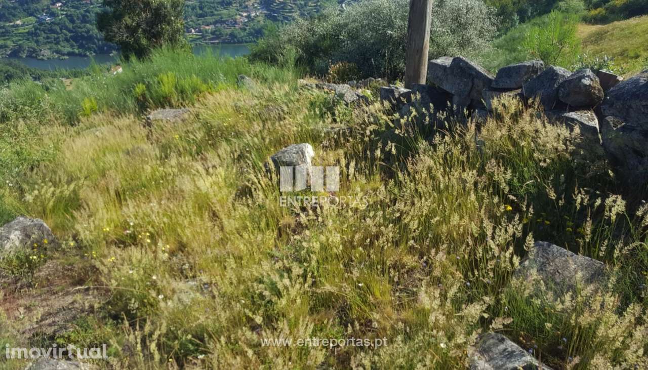 Venda de Terreno c/ 13700 m2, Tarouquela, Cinfães - Grande imagem: 4/32