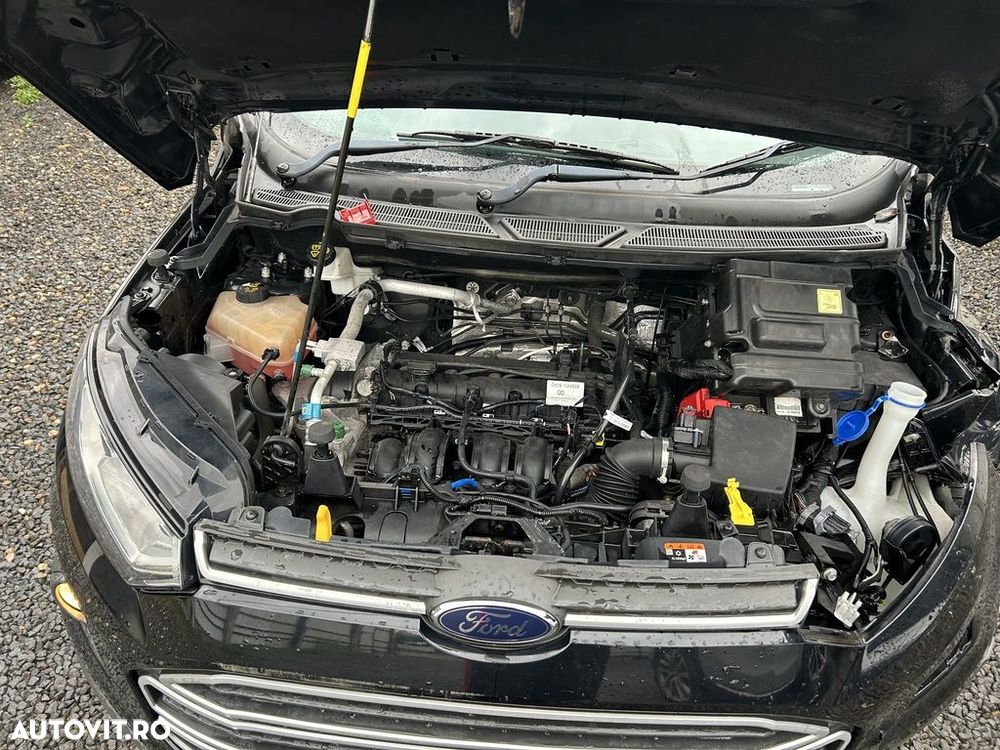 Usa Dreapta Spate Ford EcoSport II 2013 - 2017 SUV 4 Usi negru (1342) - 6