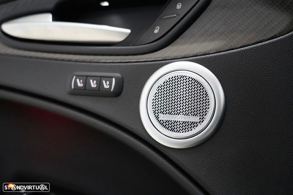 Alfa Romeo Stelvio 2.9 T Quadrifoglio AT8 Q4 - 19