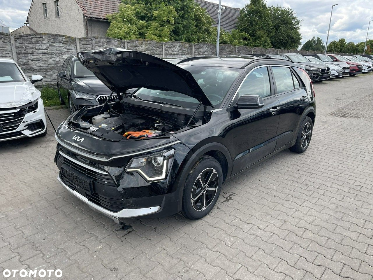 Kia Niro 1.6 GDI HEV 2WD OPF Vision - 5