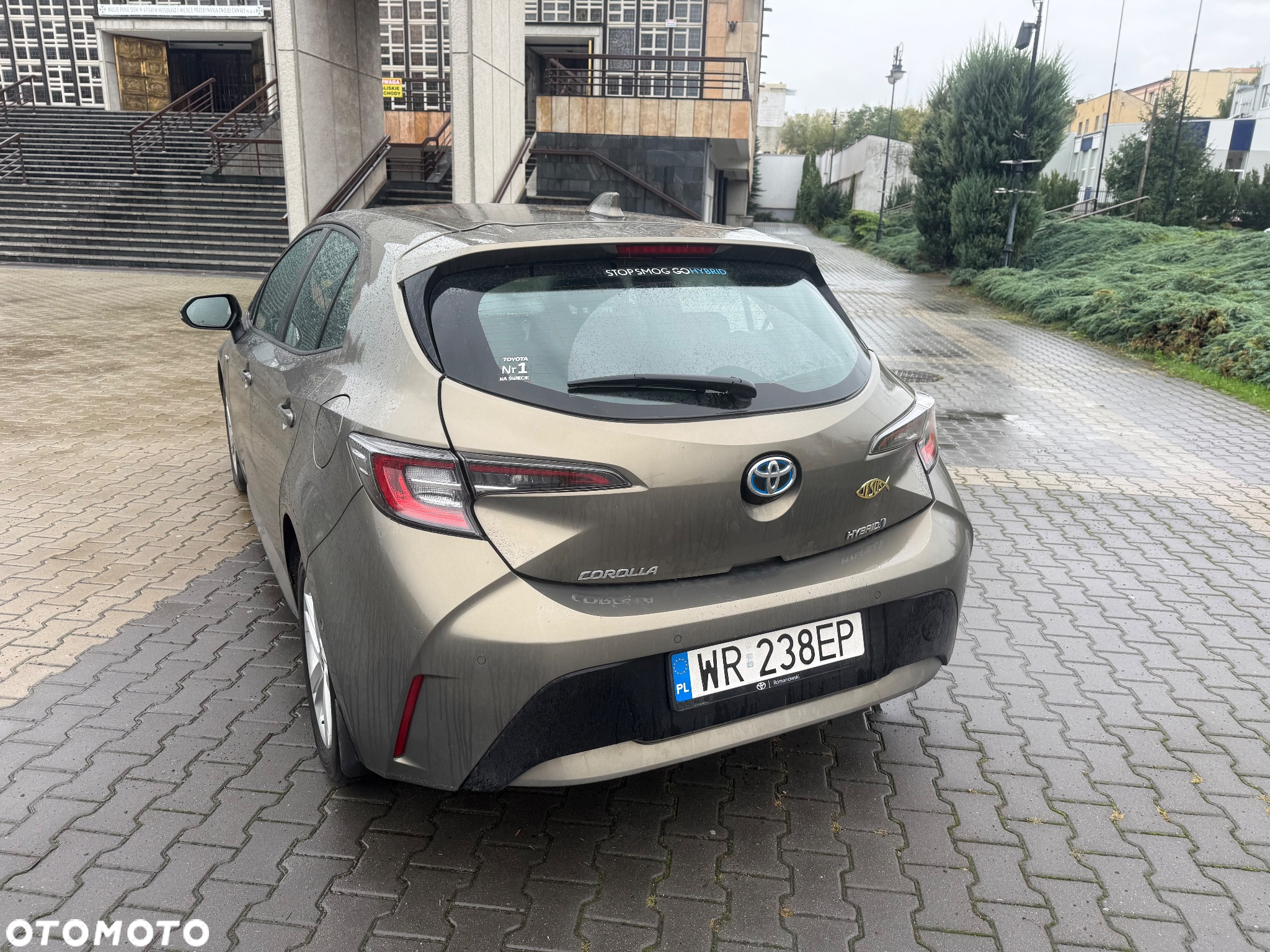 Toyota Corolla - 5