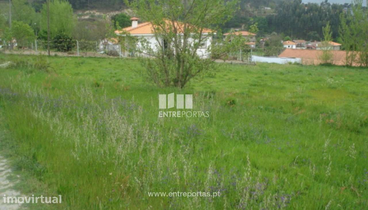 Venda Terreno, junto à estrada, Penha Longa, Marco de Canavesess - Grande imagem: 4/7