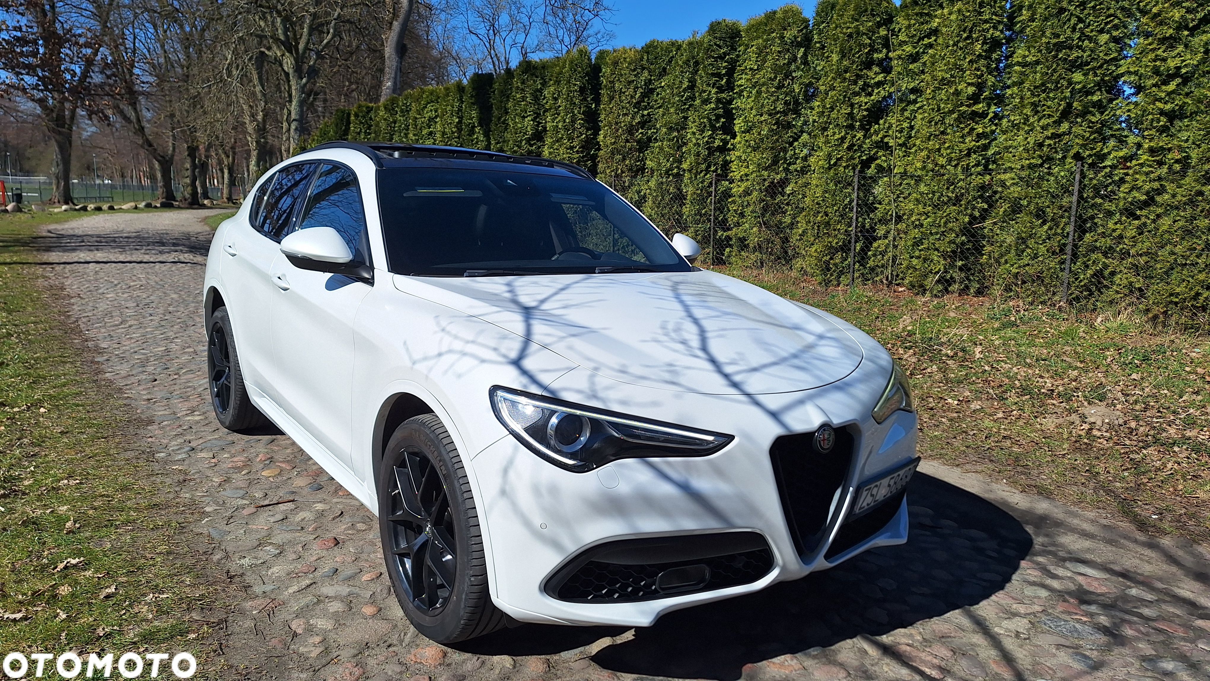 Alfa Romeo Stelvio 2.0 Turbo 16V AT8-Q4 Veloce Ti - 1