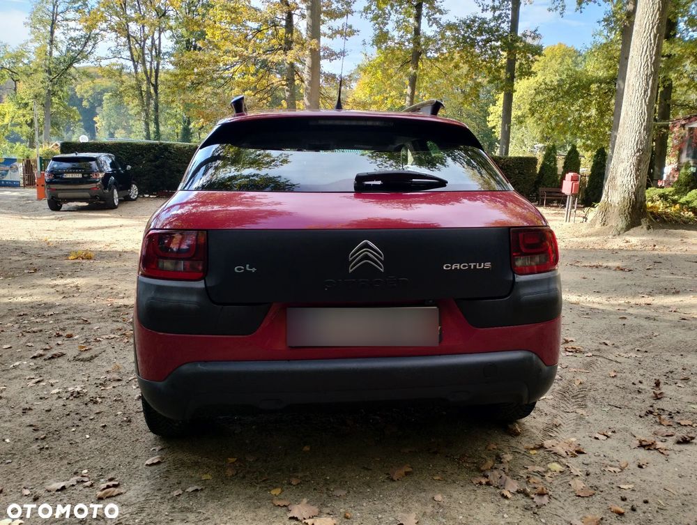 Citroën C4 Cactus 1.2 PureTech MoreLife S&S ETG - 6