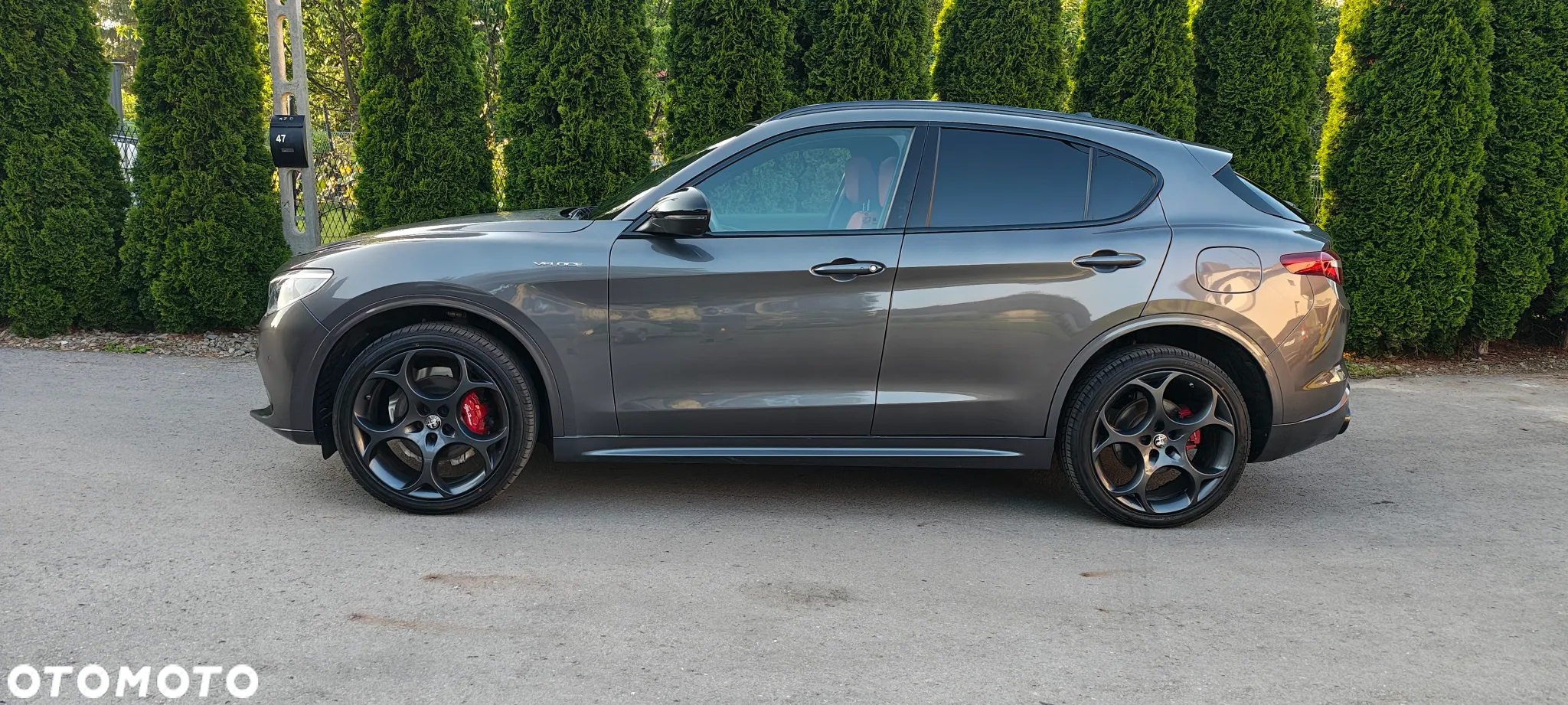 Alfa Romeo Stelvio 2.0 Turbo Veloce TI Q4 - 5